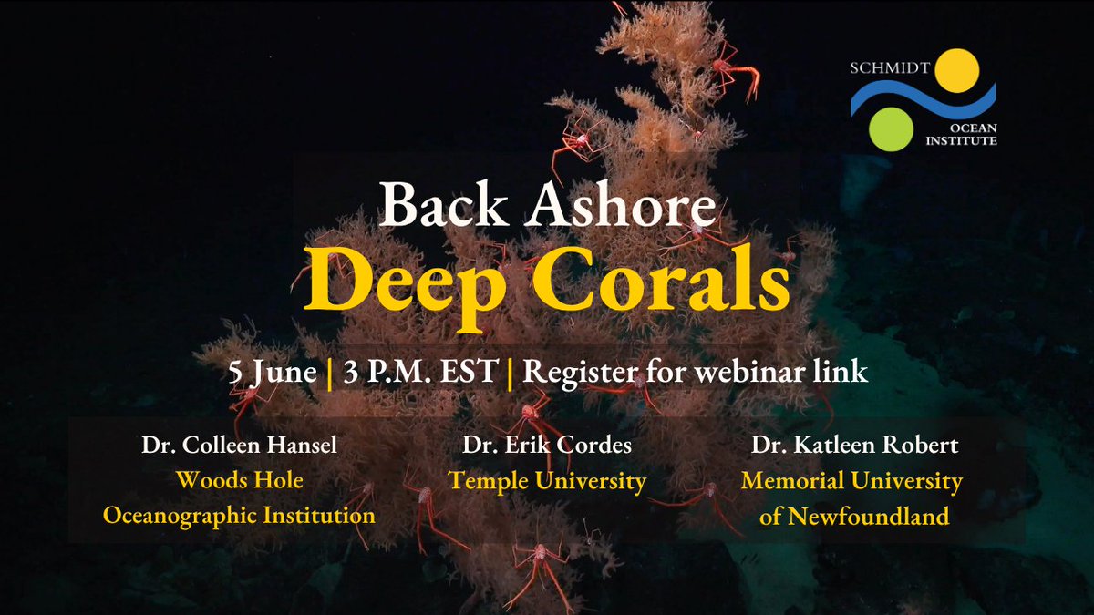 SchmidtOcean's tweet photo. Join us for a Schmidt Ocean Institute Back Ashore discussion, where we hear from scientists following expeditions on R/V Falkor and Falkor (too) to learn where the science has taken them. Register here:
https://t.co/Eq23FBg5C5 https://t.co/2DCUl6RBhb