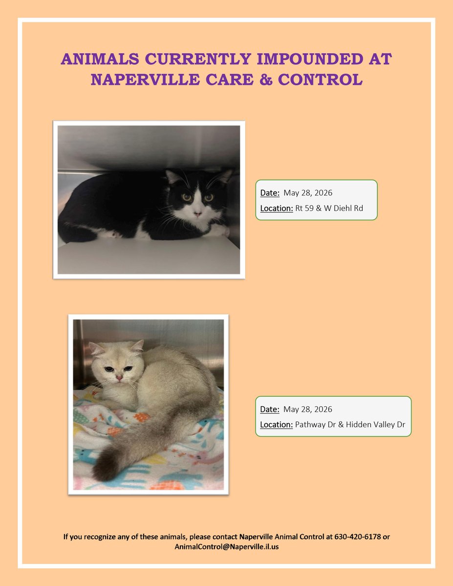 NapervillePD tweet media
