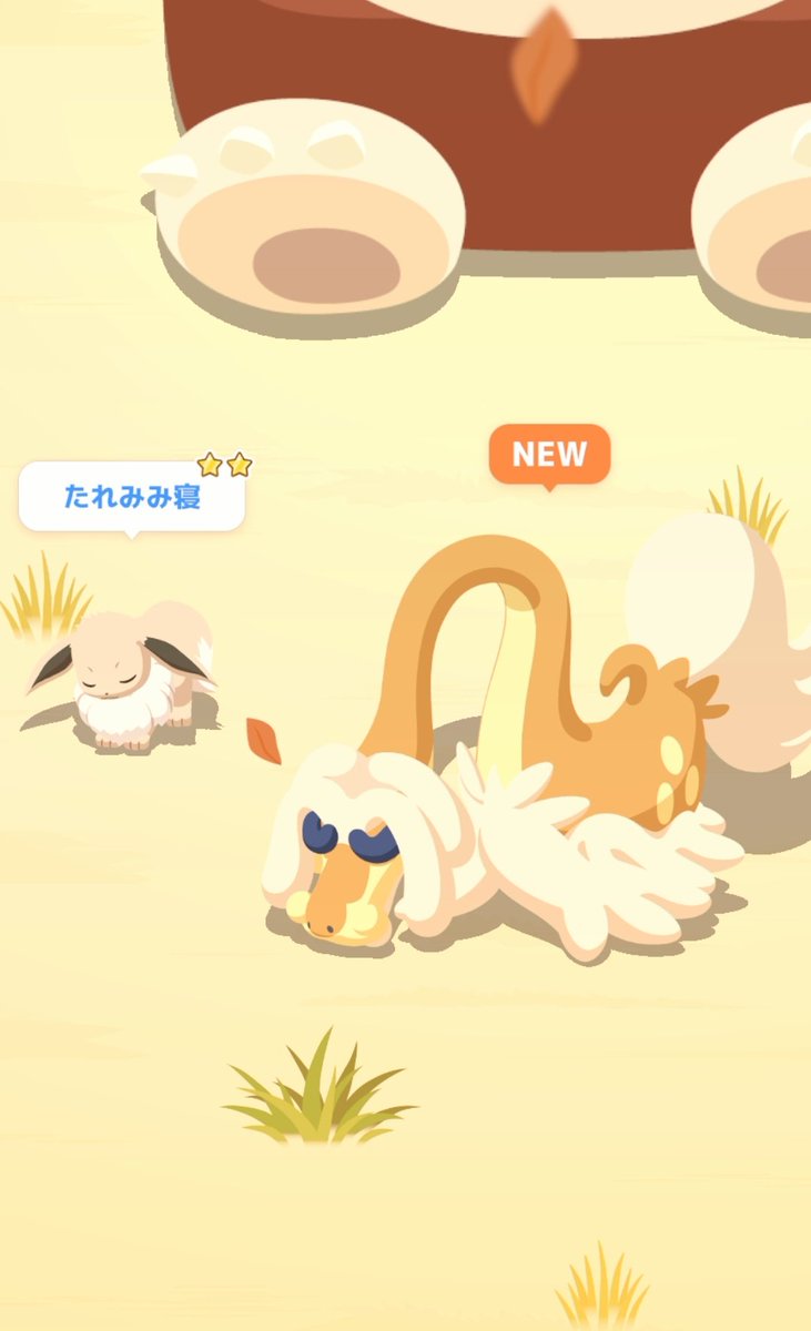ぽんぽん tweet media