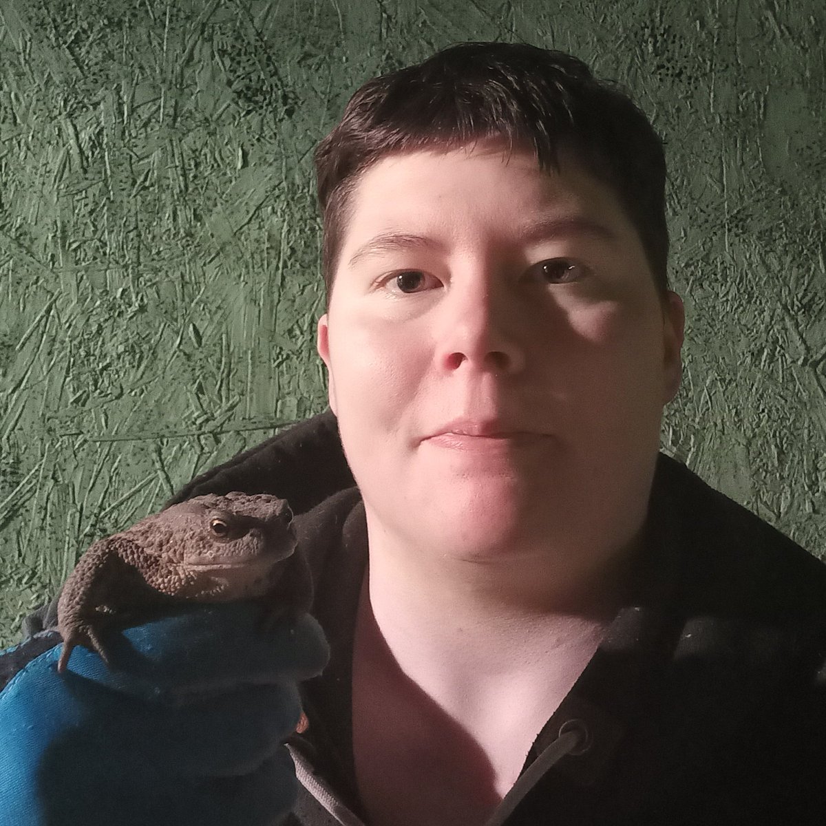 DragonMeeri's tweet photo. Heute wieder eine Kröte aus dem Hof gerettet.
#kröte #toad #amphibie #waldviertel #dragonmeeri https://t.co/LZgnOujizH