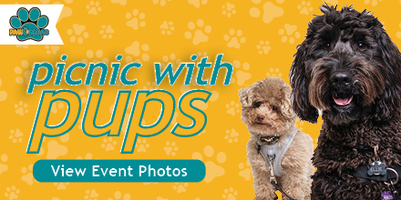 StormontVail's tweet photo. Patients and team members met our #PawSquad animal therapy team and learned more about the comfort they bring every day to celebrate #NationalTherapyAnimalDay. 🐾🐕‍🦺❤️

Learn more from @WIBW: https://t.co/WXmd0Qvx3U 

#PicnicWithThePups https://t.co/Z2JOYRhNfm