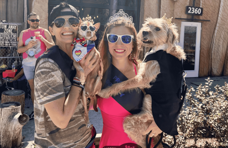 wmnf's tweet photo. WMNF’s Mission of the Month is shining a spotlight on Pride and the history behind a movement that changed everything 👀

How to get involved and local events happening now ⬇️  

#WMNF #Pride #LGBTQ #TampaBay #Community https://t.co/keFhVRHchX