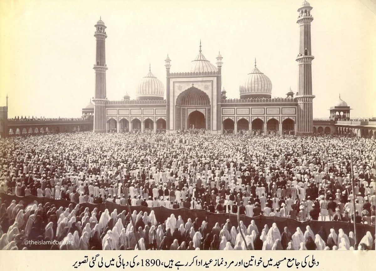 Hasnain Mirza tweet media