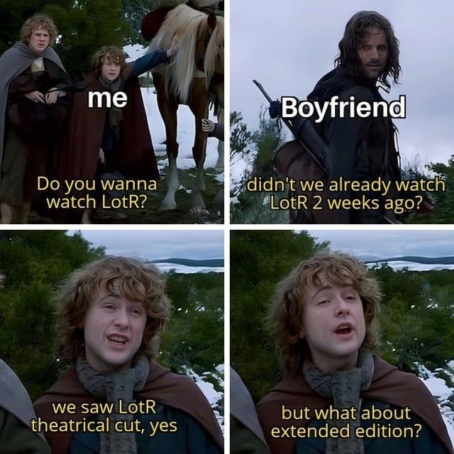 Lord of the Rings Memes tweet media