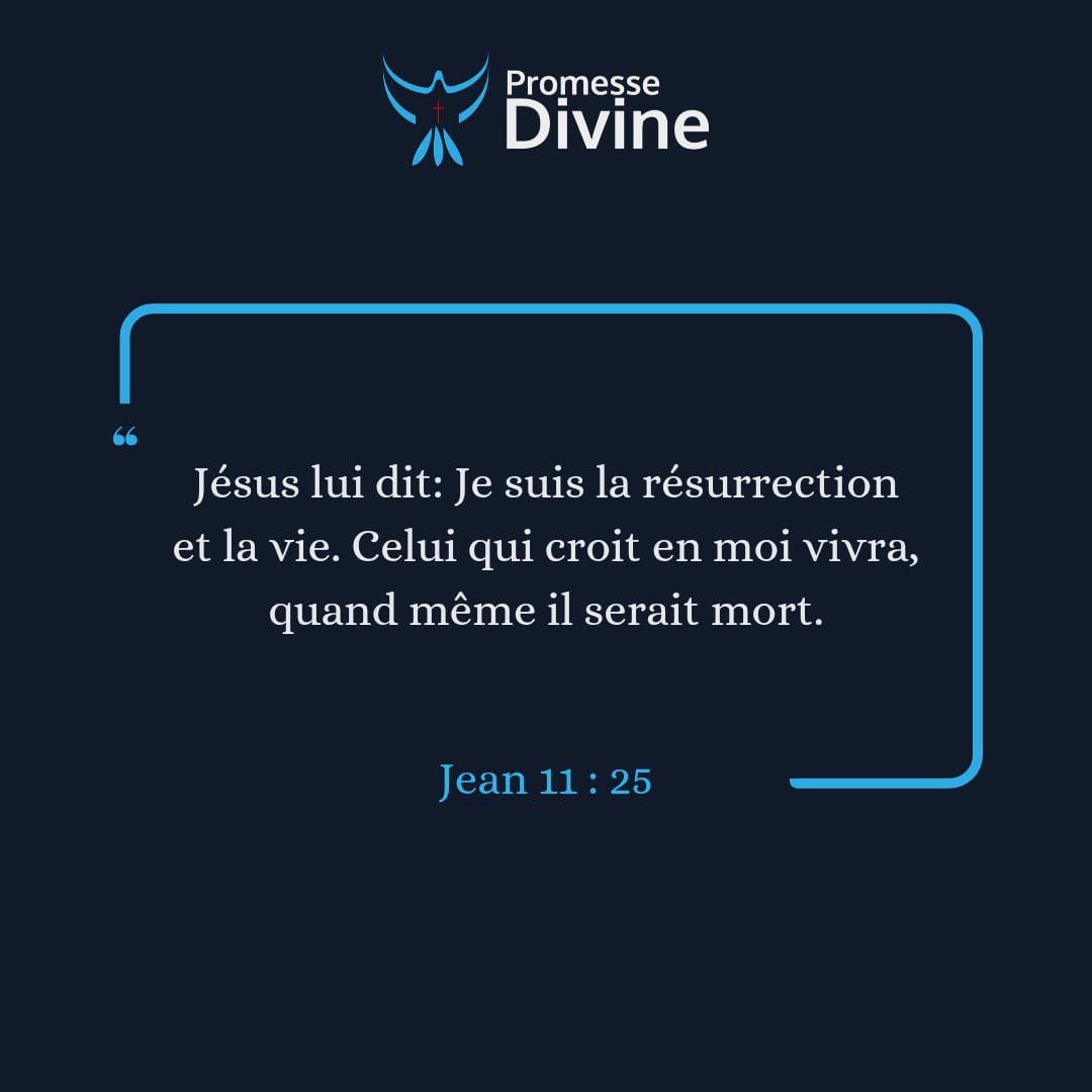 PromesseDivine_'s tweet photo. #PromesseDivine du 29 mai 2026 ✨

En Jésus-Christ, la mort n’a pas le dernier mot. Là où tout semble fini, Dieu peut encore faire renaître l’espérance. 🙏💙 https://t.co/OSaPfFZD7M