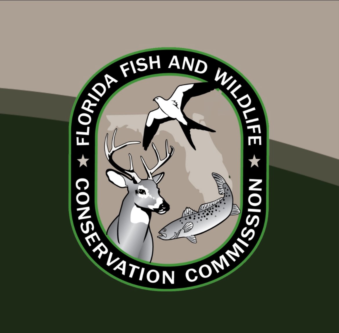 MyFWC tweet media