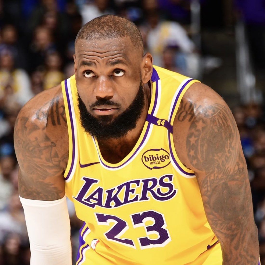Fullcourtpass tweet media