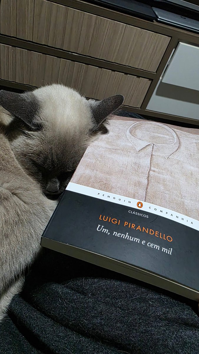EderAlex's tweet photo. Um dia frio, um bom lugar pra ler um livro QUE TE CAUSA CRISE EXISTENCIAL https://t.co/otVy4GTVrf
