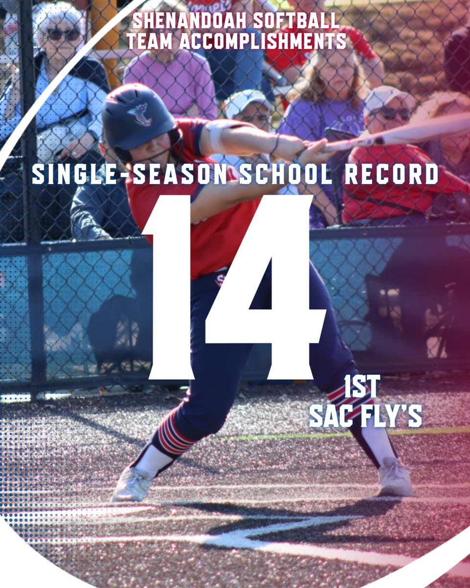 SUHornetsSB's tweet photo. A record-breaking 2026 season!👏

The 2026 team broke the single-season school record for stolen bases, on-base percentage, walks, and sac-flys. They also ranked top 3 in program history in 1️⃣2️⃣ other categories! One of those being 2nd most wins in a season!

What a group! https://t.co/oU4pDQ3RFv