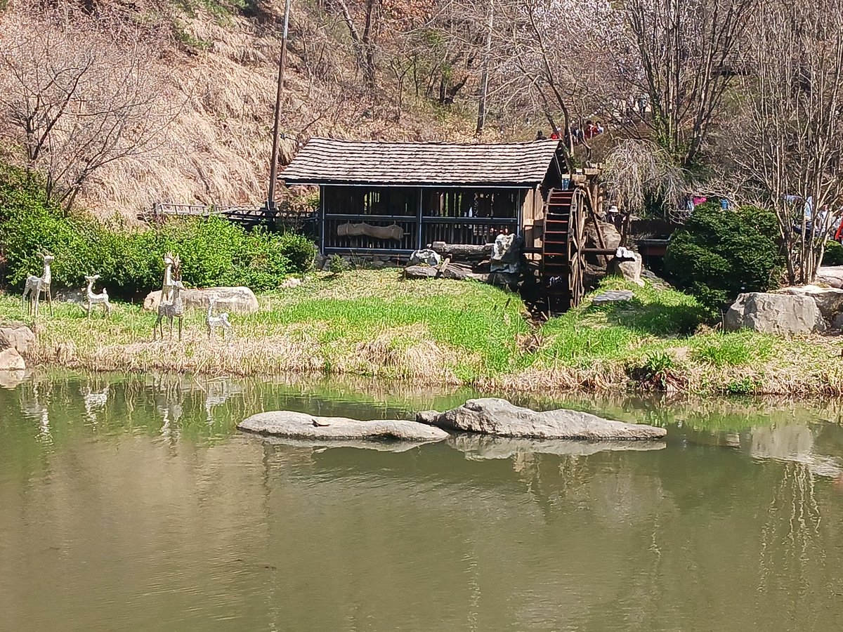 sunBnim's tweet photo. 초봄의 일. 봄 찾아 나섰다가 봄은 만나지 못 하고 어느 외딴 집 빈집에 주행을 멈춘 물레방아나 돌려보다 왔던. https://t.co/PKSmaRn1Hg