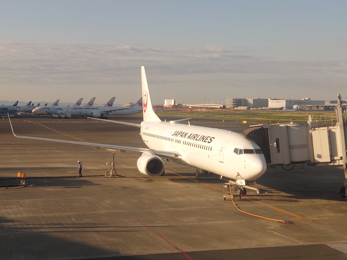 TakuyaKoshio's tweet photo. おはようございます
朝6時過ぎの羽田空港第1ビルです
昨日に引き続き、今日も日帰りですが出かけてきます
機材はA350で「銀のたぬき」です
隣の13番は「緑のたぬき」がいました

JL303
東京羽田→福岡
JAL
A350-941
JA02XJ
2026/5/30 https://t.co/ttKcqmncl2