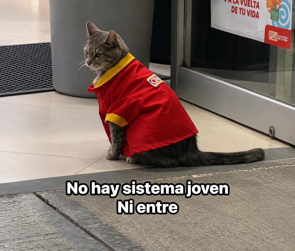 Animalitos en aprietos. tweet media