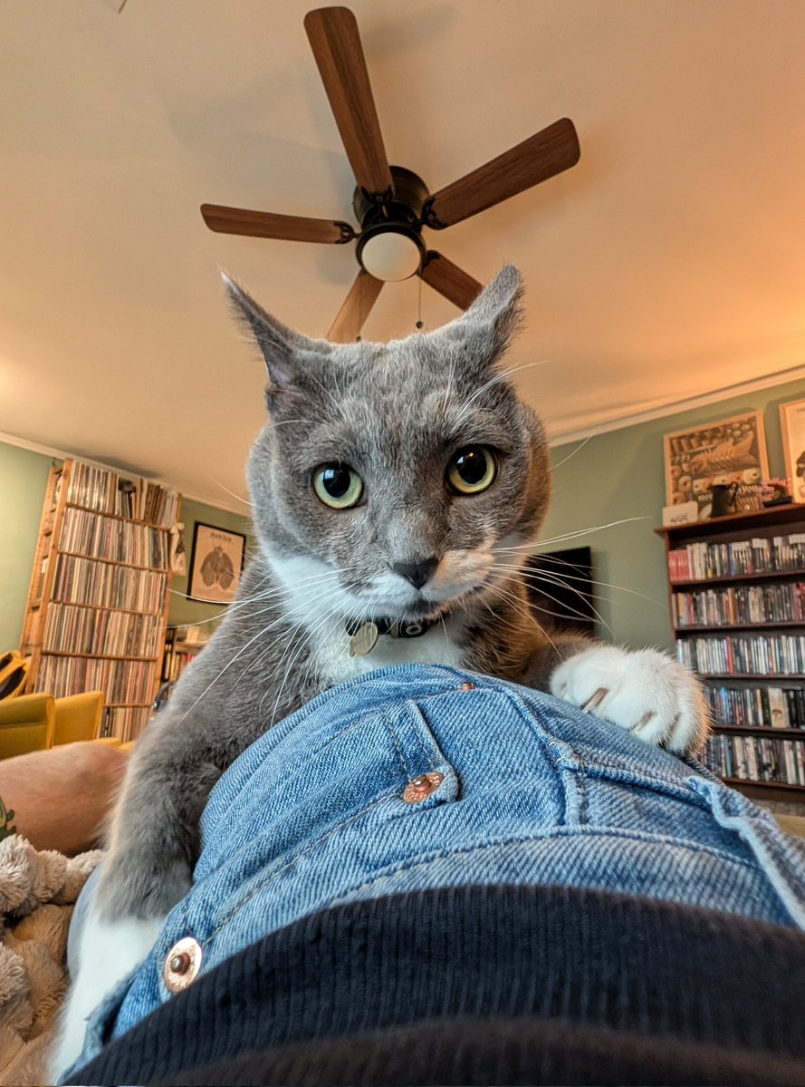 meeka tweet media