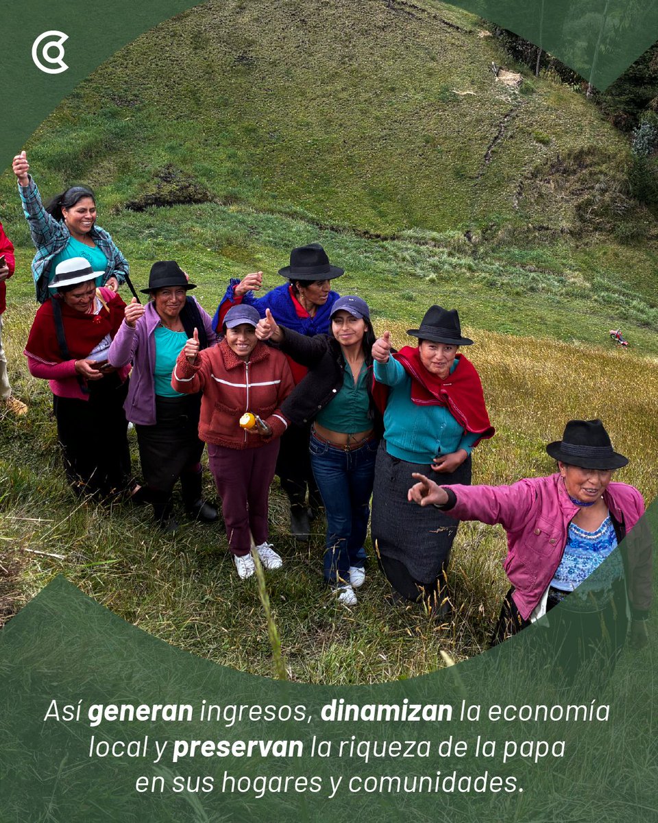 aecidecuador's tweet photo. 🥔 Día Internacional de la Papa. En Colta, Chimborazo, junto a #SETEM y @GrupoSocialFEPP, 256 mujeres indígenas cultivan papa chaucha. Se empoderan, generan ingresos y combaten violencias. 👩🌾💪🇪🇸🇪🇨
#SomosCooperación https://t.co/QgrUDqVgVq