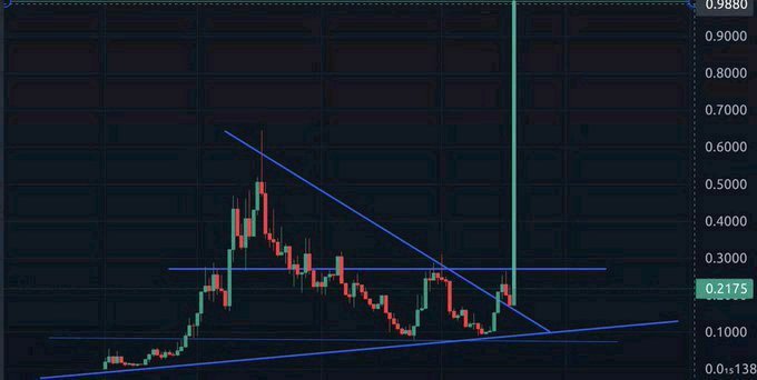 CRYPTO THRO tweet media