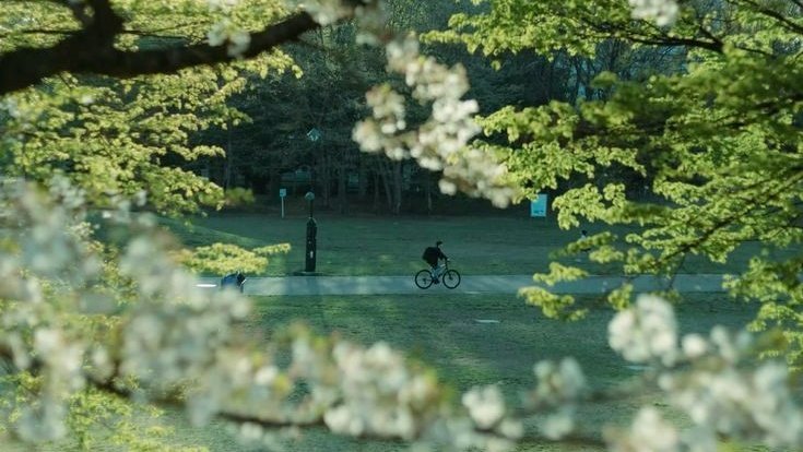 purelivn's tweet photo. green moments 💚 https://t.co/r5VuLk2C01