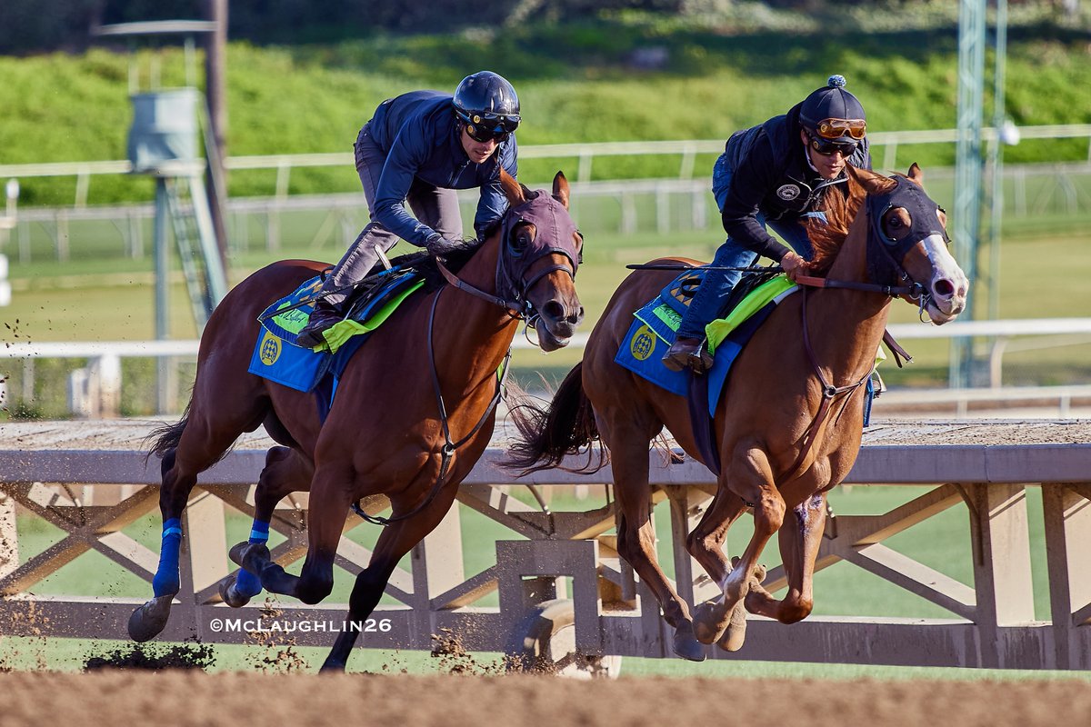 kimo16's tweet photo. Bullet half in 46.00 this morning for Nayar (Tiz the Law out of That's Her M.O.) under Juan Hernandez outside of Kay Kay with Erick Garcia up for HoF trainer Bob Baffert @santaanitapark @ZedanRacing @BobBaffert @Ersick05 https://t.co/AspUaHnrB3