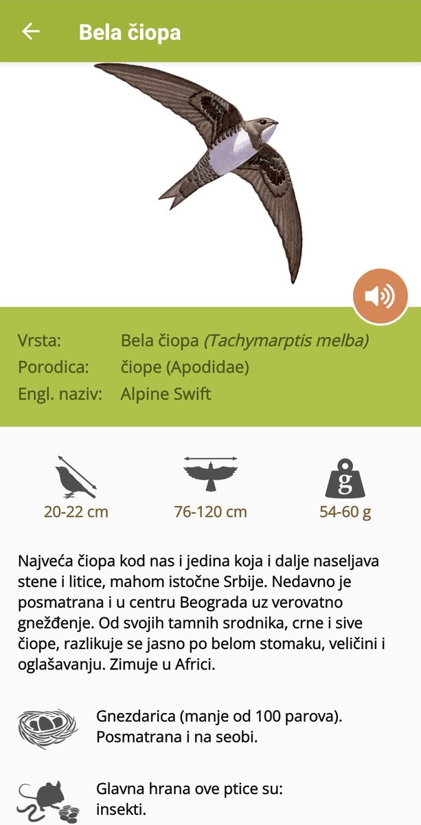 Теуша tweet media