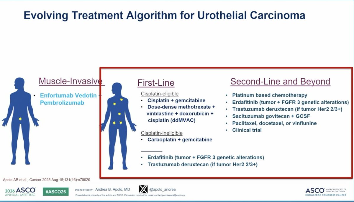 katy_beckermann's tweet photo. Thoughtful discussion by @apolo_andrea on Nectin-4 biology in urothelial cancer.

She reminds us that breast cancer physicians have already taught us that T-DXd works after T-DM1 failure: same HER2 target, different payload (DESTINY-Breast02: PFS 17.8 vs 6.9 months, HR 0.36). The antibody isn't doing all the work.

LY4052031 is testing the same logic in urothelial. Topo-I payload, same Nectin-4 target as EV. 

SHR-A2102, another Nectin-4 Topo-I ADC, in MIBC. 

The sequencing question from early stage to refractory metastatic disease may be focused on the payload.

#BladderCancer #UrothelialCA #ASCO26 #GUonc