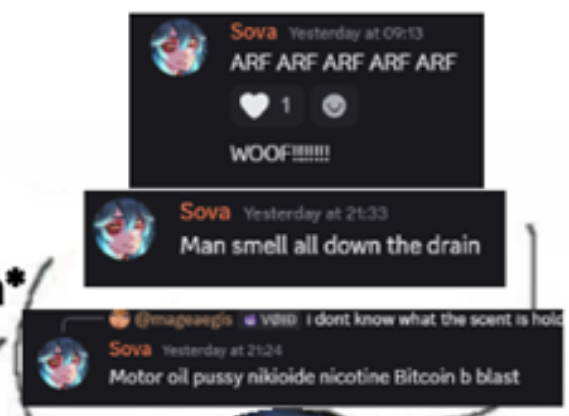SovaVT's tweet photo. sometimes i forget i be posting bangers on discord https://t.co/q0eXM8SyGl