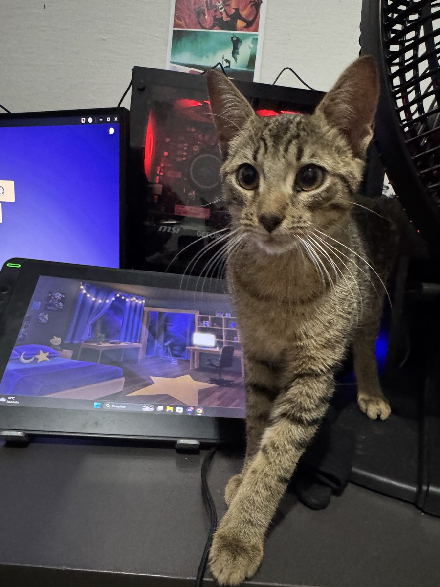 HeroizinHD's tweet photo. Meu gatinho de guarda no meu pc kkkk 

Bem boa noite gente :3 

Fiquem com o Nick (meu gato ) e desejo uma boa noite :3 https://t.co/WnoyhL4W1K
