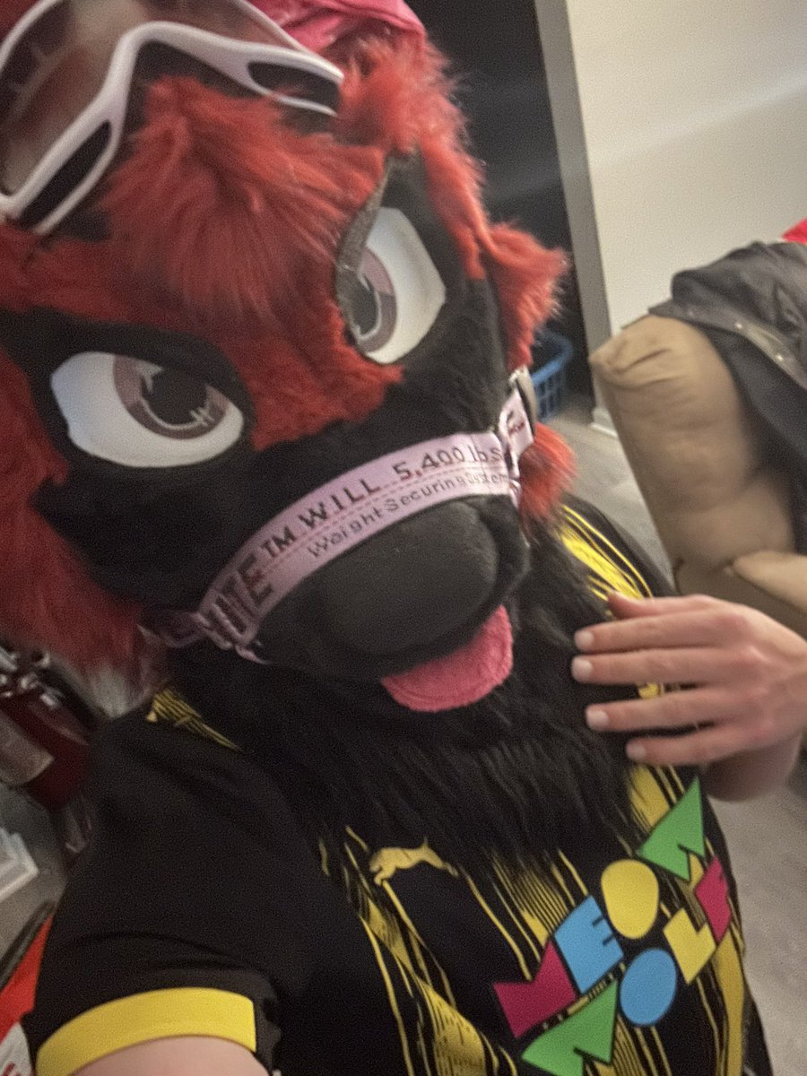 Skylight 🔜 DENFUR tweet media