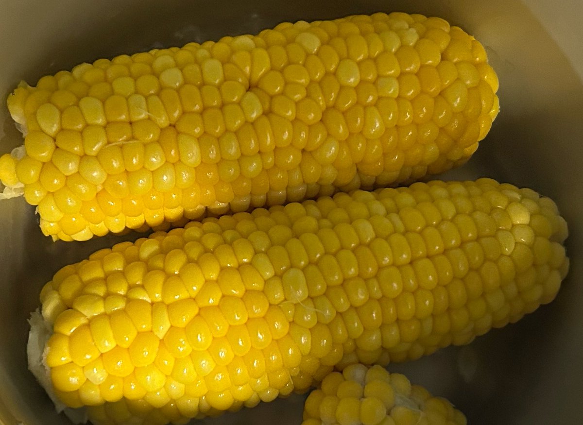 trip_wr's tweet photo. #とうもろこし

友達が、トウモロコシ持って来た✨
茹でて、バター🧈で食べよう♪

🌽とうもろこしの季節😋 https://t.co/hmWsdzbLUg