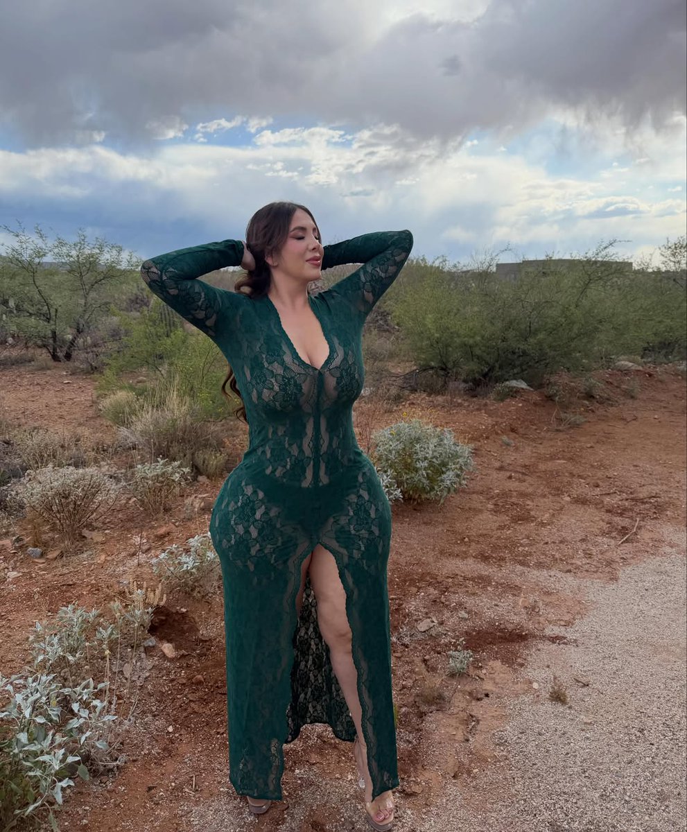 IconicCurves2 tweet media