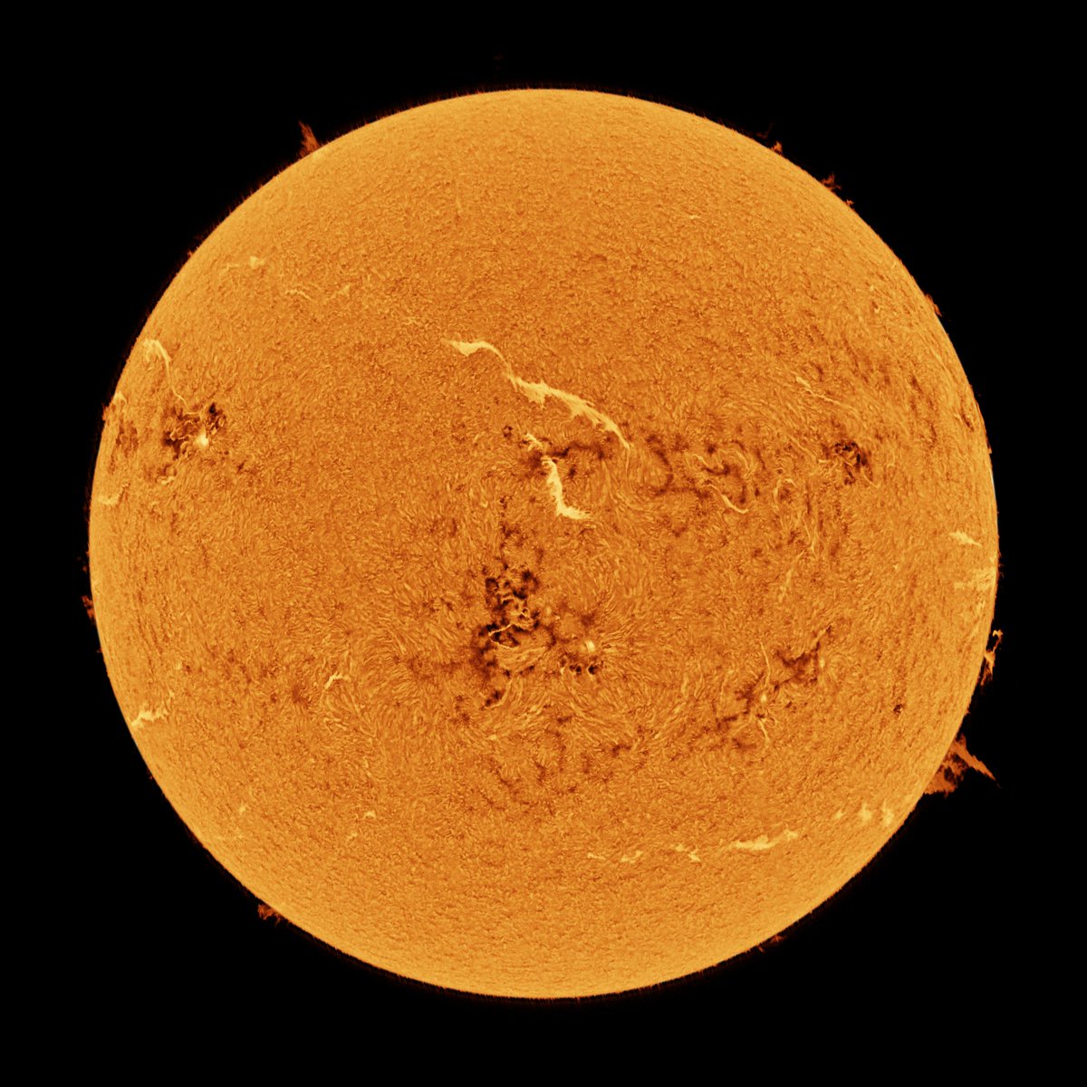 AstroFrog83's tweet photo. May 29, 2026 - The sun in hydrogen-alpha, hydrogen-beta, helium D3, and calcium-H. https://t.co/mNYn35w8WL