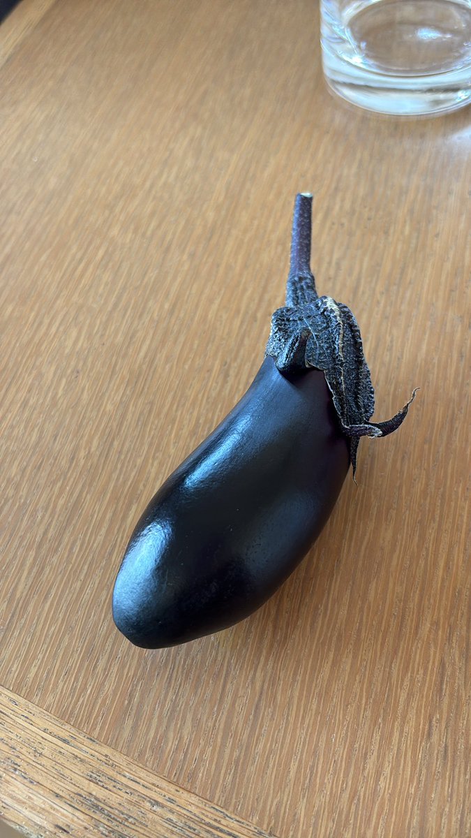 茄子、初収穫。👍 #家庭菜園