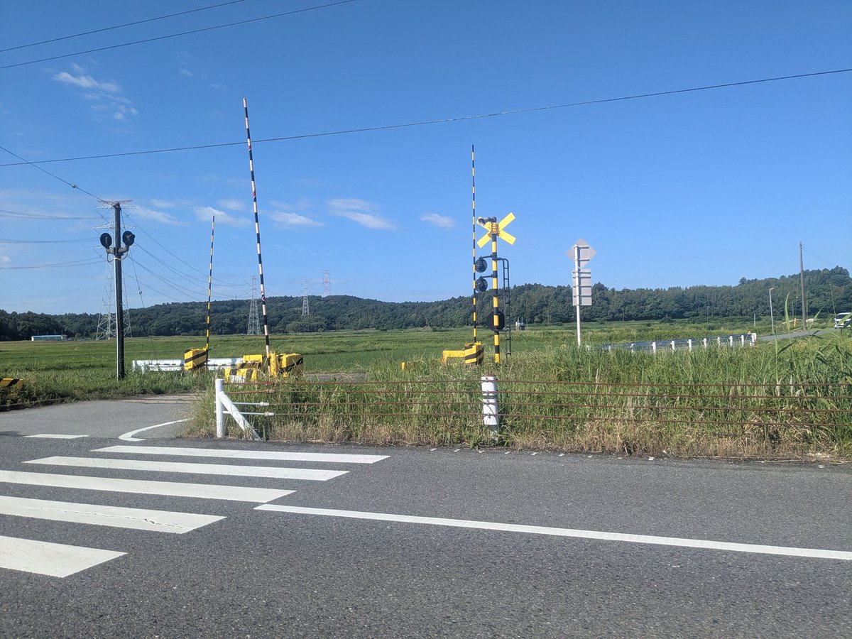 AnglersLobby's tweet photo. 市原市は今日も晴天健やかなり〜。
釣り行ってきます🎣✌☺️
#バス釣り https://t.co/oLrmAnK5Nh