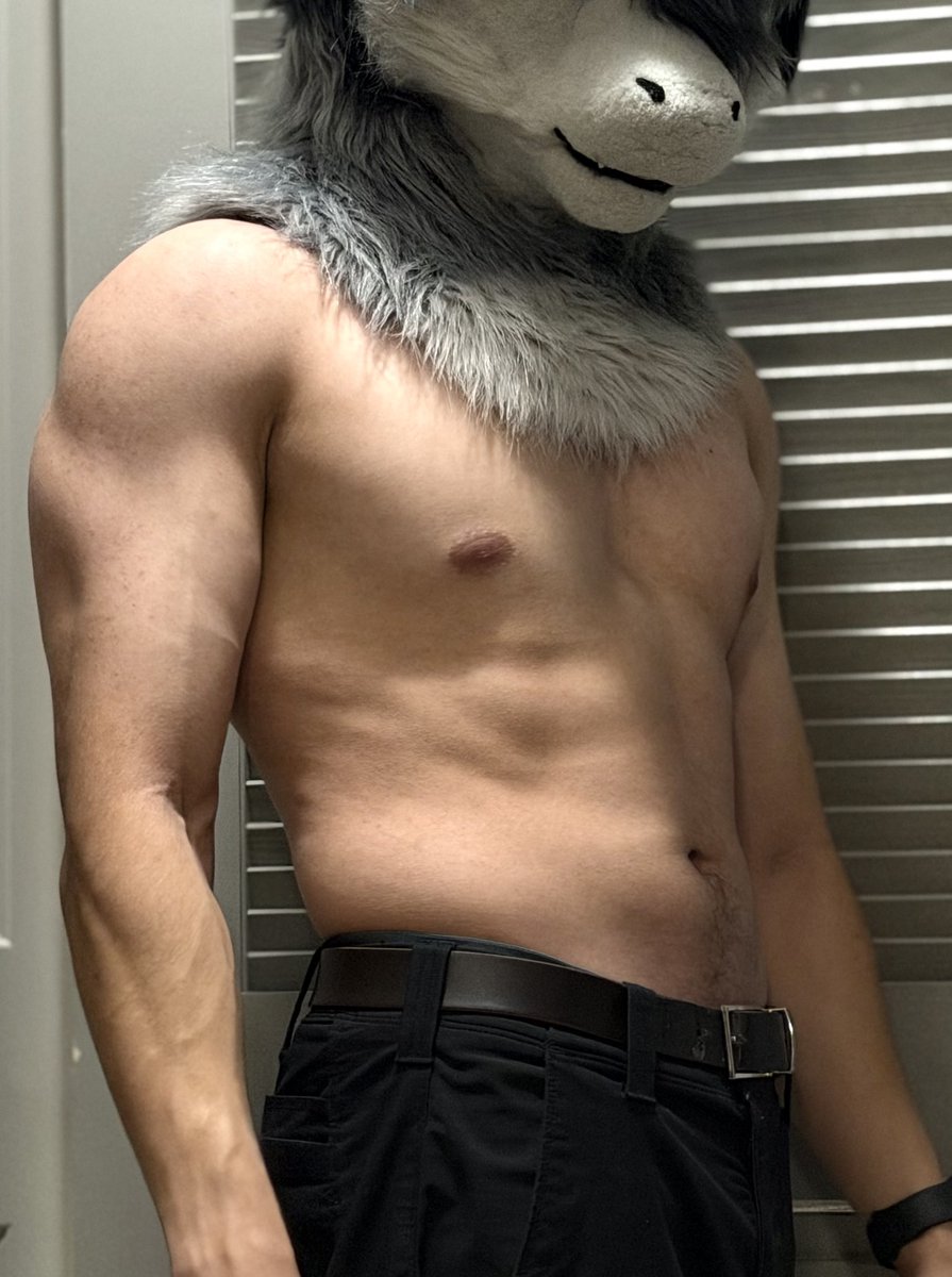 OGControllerGuy's tweet photo. There’s levels to this Derg kitty, 
usual chest day pump

#fursuitfriday https://t.co/q9bnudvWtL
