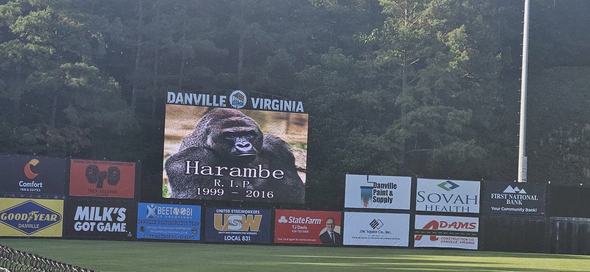 gthump1127's tweet photo. They just hosted a moment of silence before the anthem for Harambe for this baseball game https://t.co/fZCAXQK1ck