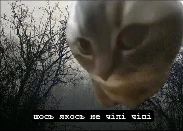 секрет хвостика Сінамонрола 🥛🍙 tweet media