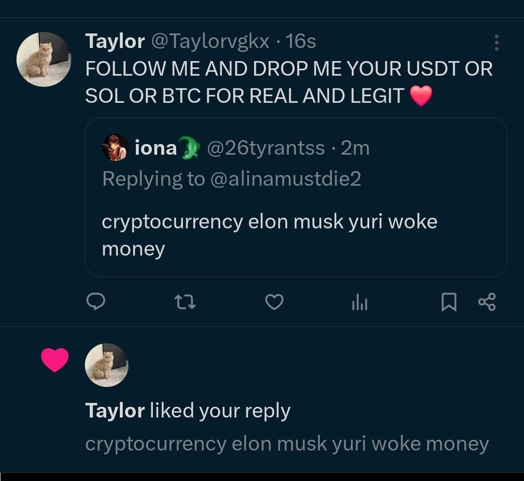 iona🐊 tweet media