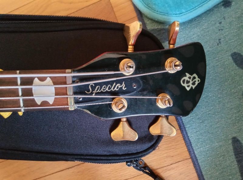 Soundmart_jp's tweet photo. ▼▼ #中古楽器  #SPECTOR  #ベース サウンドハウス直営
音楽専門フリマサイト🎵🏬サウンドマート

SPECTOR (スペクター) / USA NS-2

https://t.co/eACkS4tQz0
390.0k
🐳 https://t.co/nrwEhWPGHD