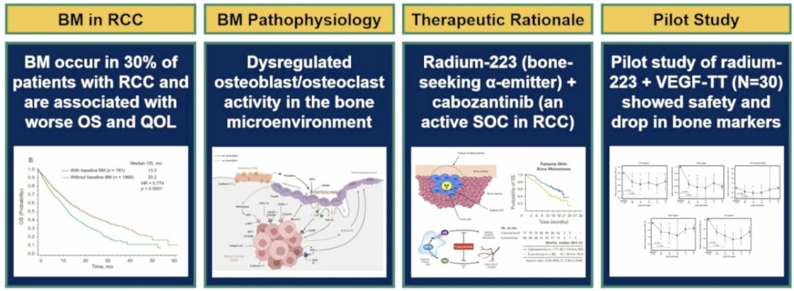 urotoday's tweet photo. A phase 2 randomized trial of radium-223 dichloride and cabozantinib in patients with #RCC with bone metastases: #RADICAL (Alliance A031801). Presentation by @DrRanaMcKay @UCSanDiego. #ASCO26 written coverage by @zklaassen_md @GACancerCenter > https://t.co/EVNwPNIjgW @ASCO https://t.co/cDjnJVaK9I