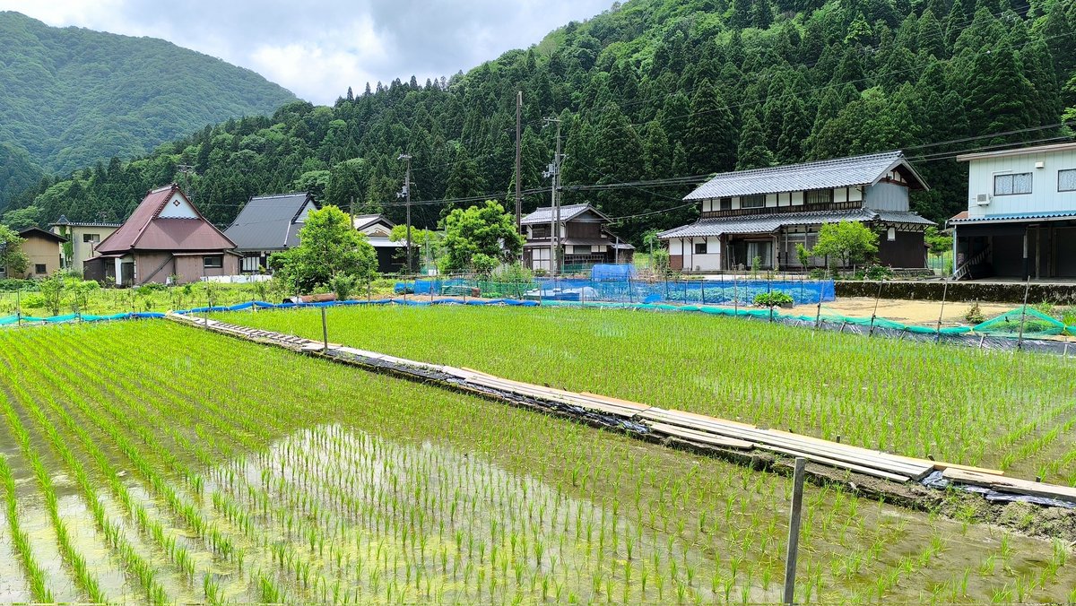 retro_landscape's tweet photo. 初夏の菅並集落があまりにも美しかった https://t.co/KWq9xKtByy