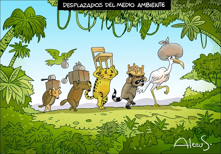 Rebeca Calderon tweet media