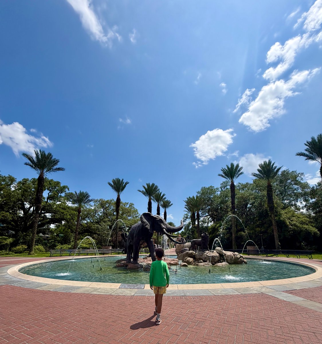 CoachCKennedy's tweet photo. Left the football office this afternoon and walked right into one of the top zoos in the country.

@AudubonNature #RollWave🌊 https://t.co/3WLOnp8UzY