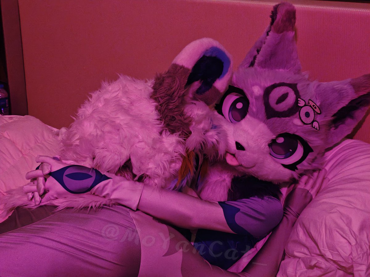 MoYanCat_'s tweet photo. 🐶贴🐱~抱抱
@chenbai_ 

📷:@910r18r18 https://t.co/UizTNafIhR