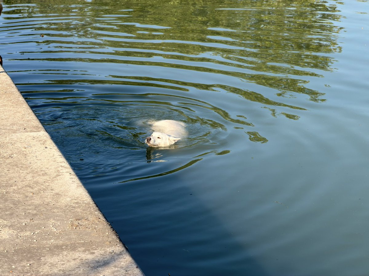 Deepchiil's tweet photo. Béziers, France 🇫🇷

Sunshine, old streets, riverside views, and the slower rhythm of southern France.

It’s not crowded or overwhelming — just calm, charming, and full of everyday beauty.

A lovely little city for walking, taking photos, and slowing down for a while 🌿
#Travel https://t.co/UCdKE4cMHT
