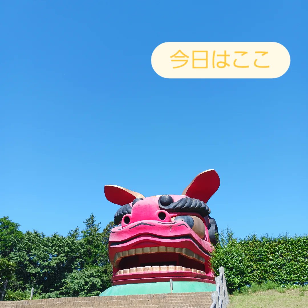 umaboshi's tweet photo. #風土記の丘公園
#ツリークライミング https://t.co/AVbfLE9mok