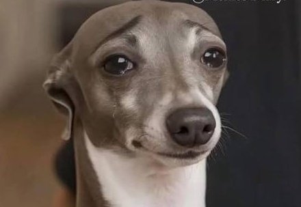 sexy 💋 😘 Vee😜 queen of meme tweet media