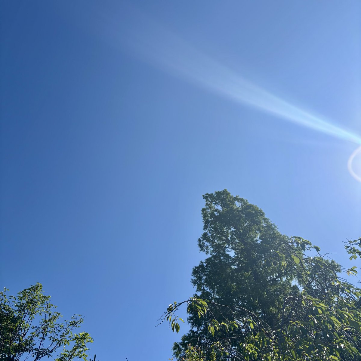 KAISEI48's tweet photo. おはようございます🌞
東京は快晴です😎
よき土曜日を〜 https://t.co/h8YOWIBVg9