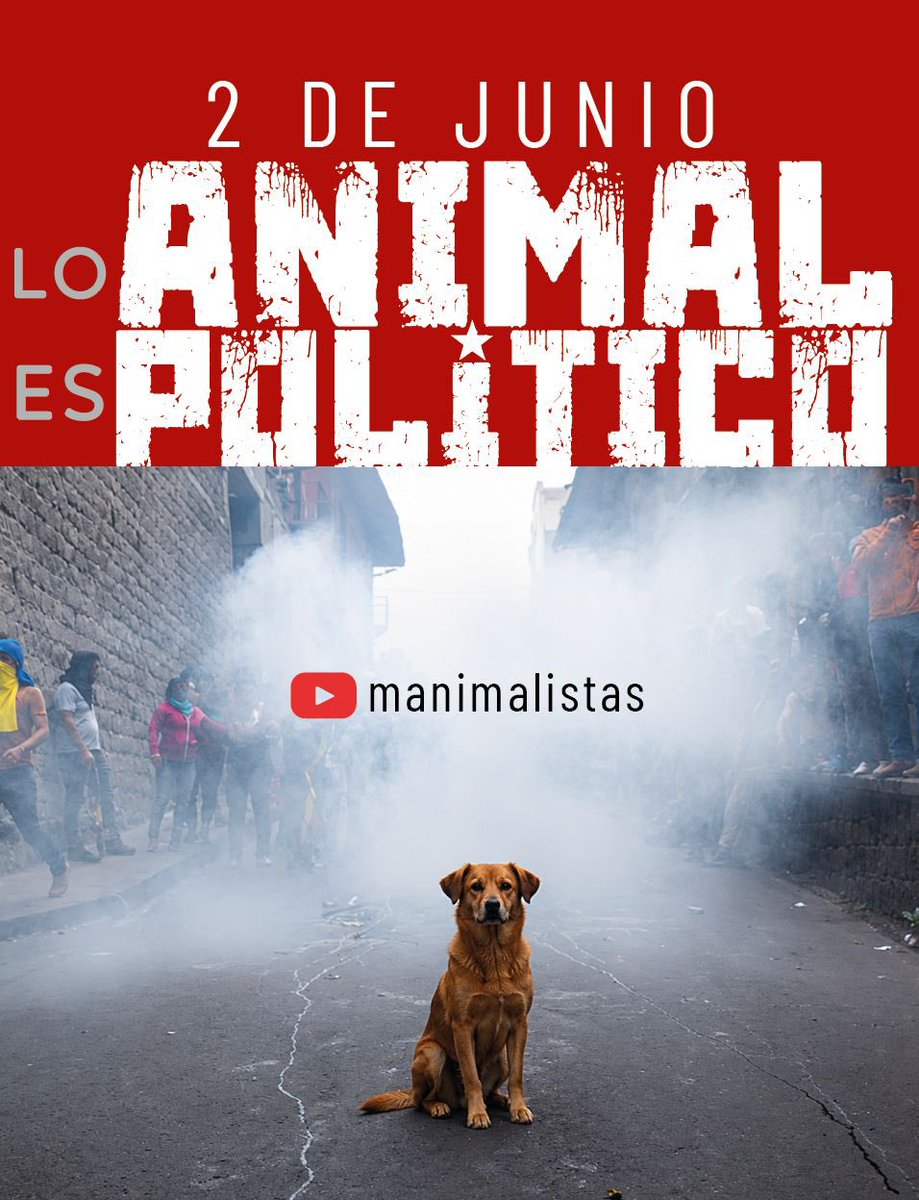 MANimalistas's tweet photo. Este 2 de junio, conéctate con el MAN en YouTube … 
Pronto más info. https://t.co/9MSAsrLzQl