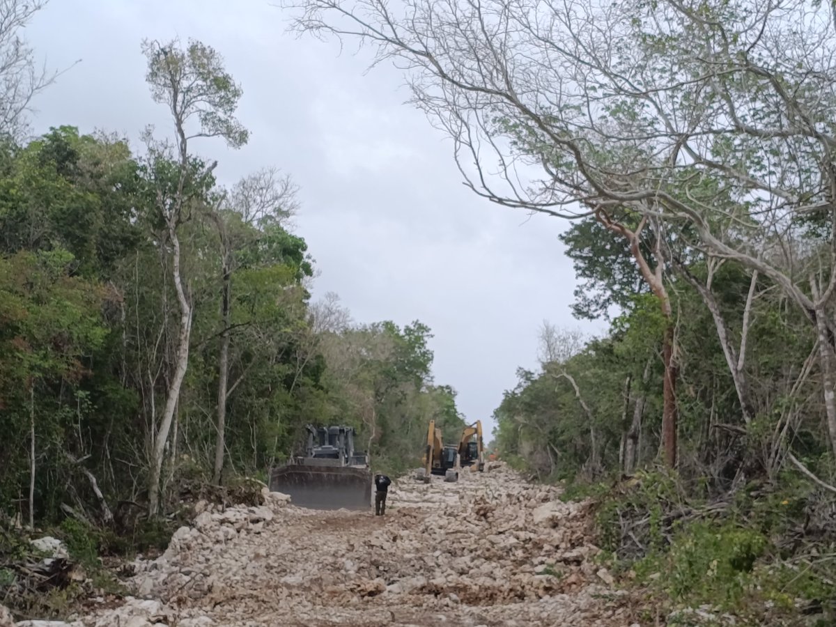 GavilanDeSelva's tweet photo. El ilegal e ilícito camino de Jacinto Pat a cargo del ejército mexicano, autorizado por @SEMARNAT_mx pone en riesgo la cueva subacuática  más grande del mundo: Sac Actun, especies catalogadas en la NOM-059-SEMARNAT-2010, tesoros arqueológicos y palentológicos. https://t.co/BjdAftYE6x
