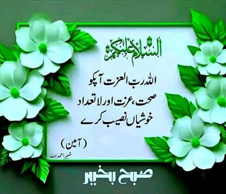 SyedIrshadHam1's tweet photo. https://t.co/amYG7R63kc