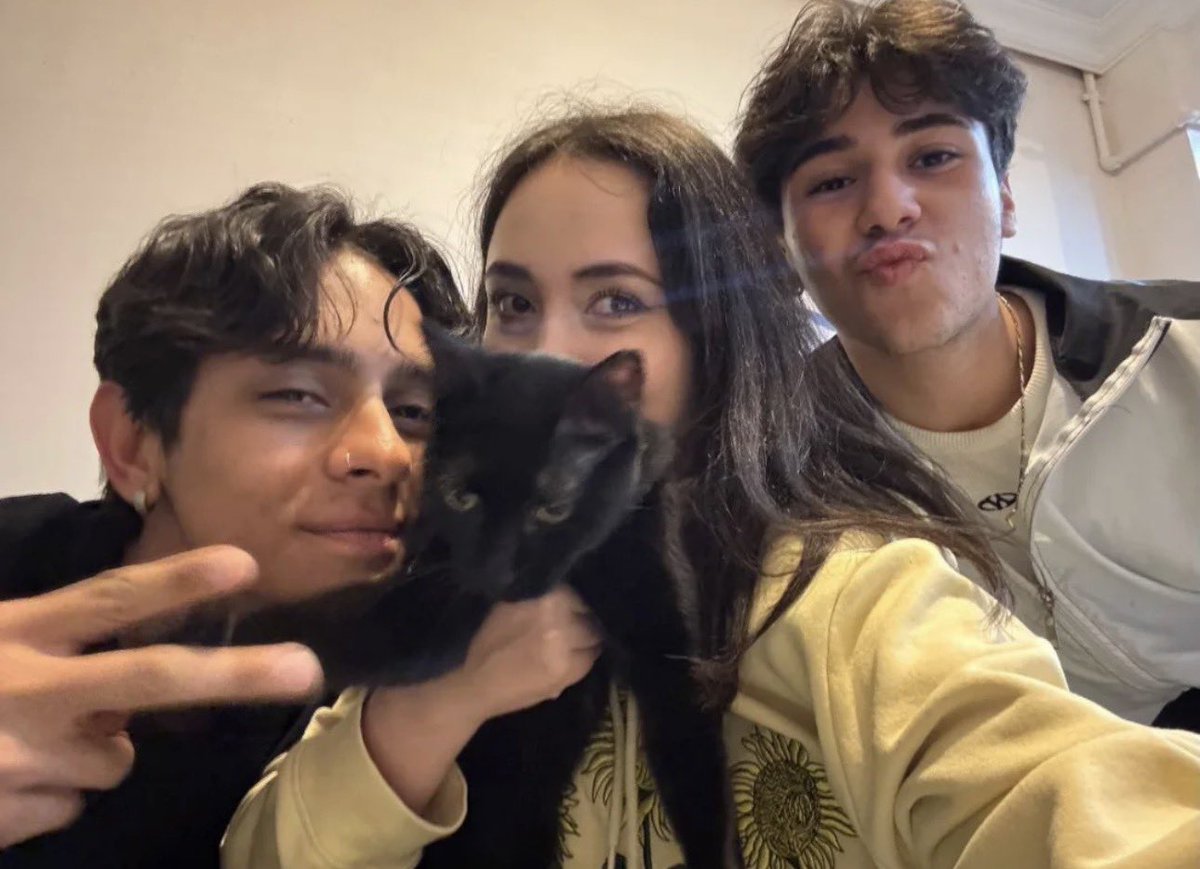 efe şan updates tweet media