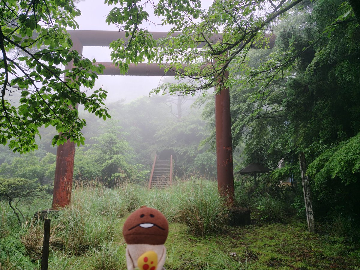 non_rinne's tweet photo. 鹿児島きのこ旅
霧に覆われたKOJ✈無事着陸
嘉例川駅、霧島神宮遥拝殿のきのこオブジェ、郵便局に寄り道
#きのこなめこ旅 https://t.co/mjVM0QzALT